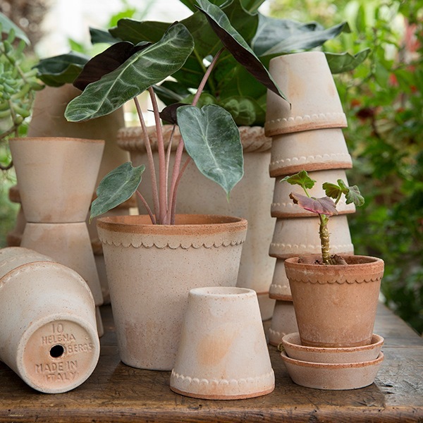 ������ͽ���BP �إ��16 �ʥ�����(���åȡ�4)