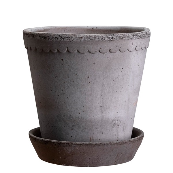 ������ͽ���BP �إ��21 ���졼(���åȡ�2)