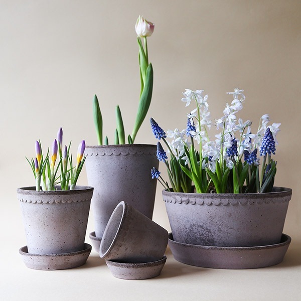 ������ͽ���BP �إ��21 ���졼(���åȡ�2)