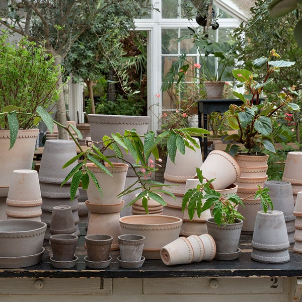 ������ͽ���BP �إ��21 ���졼(���åȡ�2)