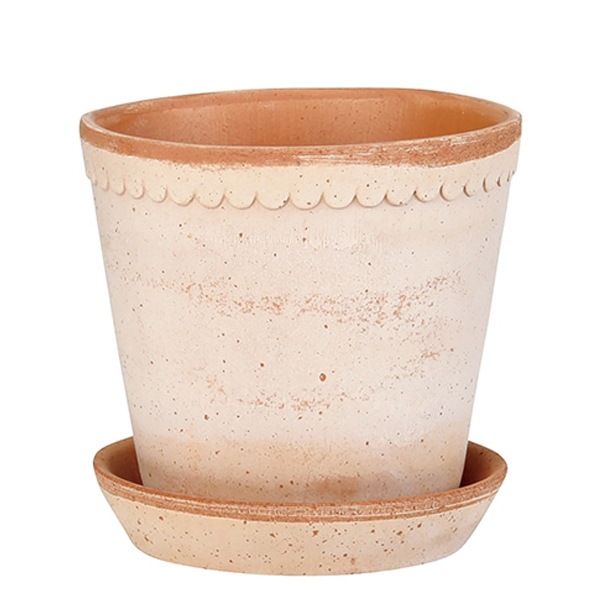 ������ͽ���BP �إ��21 �ʥ�����(���åȡ�2)