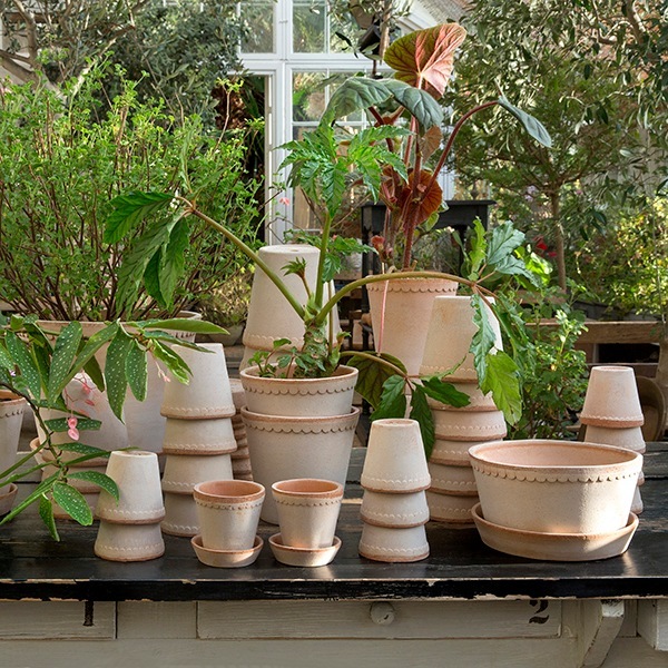 ������ͽ���BP �إ��21 �ʥ�����(���åȡ�2)