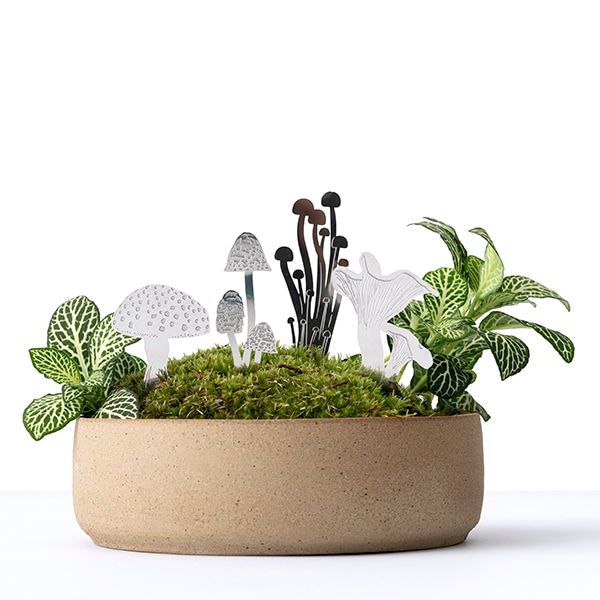 Another Studio,アナザースタジオ,グリーンアクセサリー