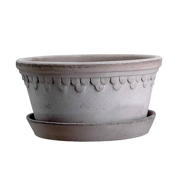 BPڥϡ21 LOW 졼ʥåȡ2