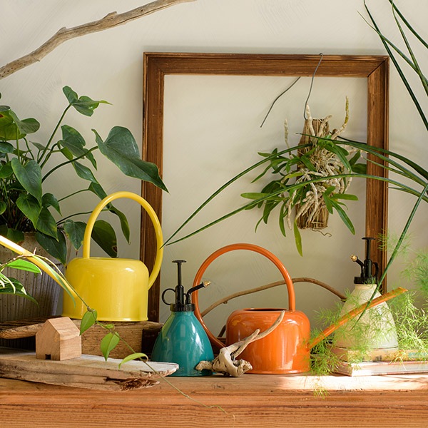 �᥿�륹�ץ졼 �ƥ����륰�꡼��ʥ��åȡ�4��