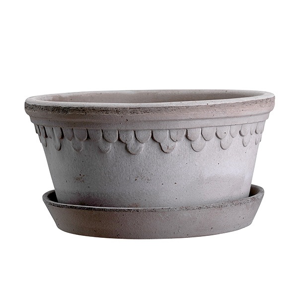 BPڥϡ25 LOW 졼ʥåȡ2