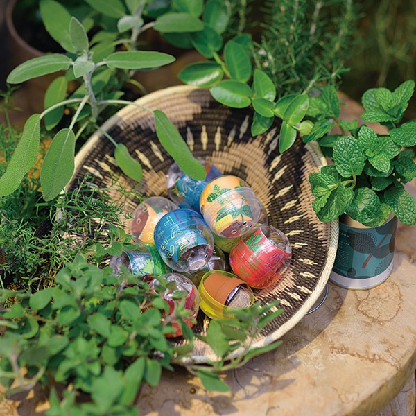 ���ϡ��֤κ��ݥ��ץ���  �����ꥢ��ѥ���ʥ��åȡ�30��