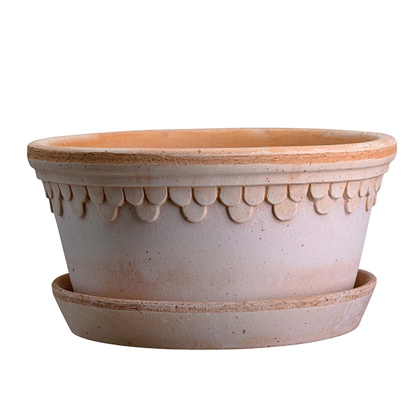 BPڥϡ25 LOW ʥʥåȡ2