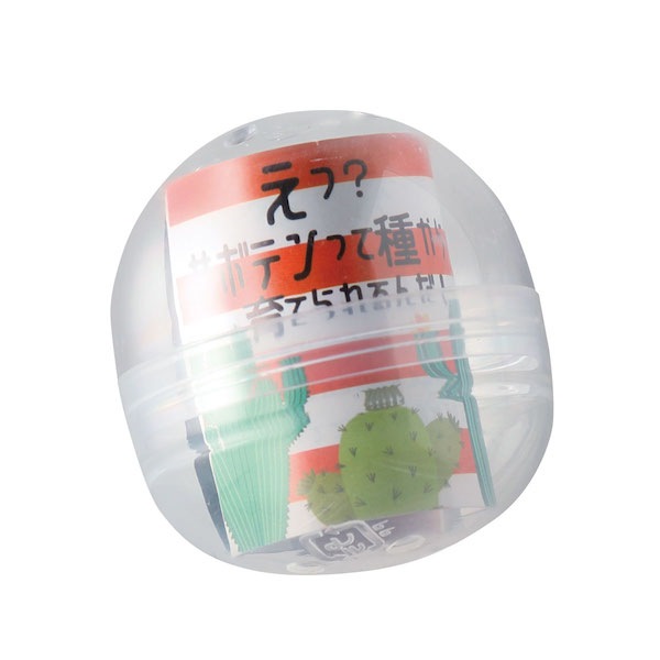 サボテン栽培カプセル 柱サボテンMIX（ロット：30） | 栽培