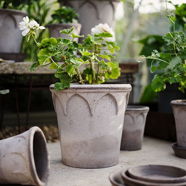 BP���ꥶ�٥�21���졼�ʥ��åȡ�2��