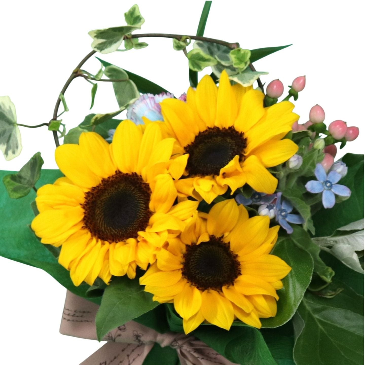 サンプロ6　Sun_flowerサマ FF04 サンリッチ | まだまだ夏ギフト 2025 | 花・フラワーギフト