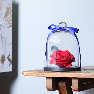 【高級プリザーブドフラワー】ダイヤモンドブルーローズ エンジェル ガラスドーム 楽天市場】ガラスドーム ハート ダイヤモンドローズ プリザーブド