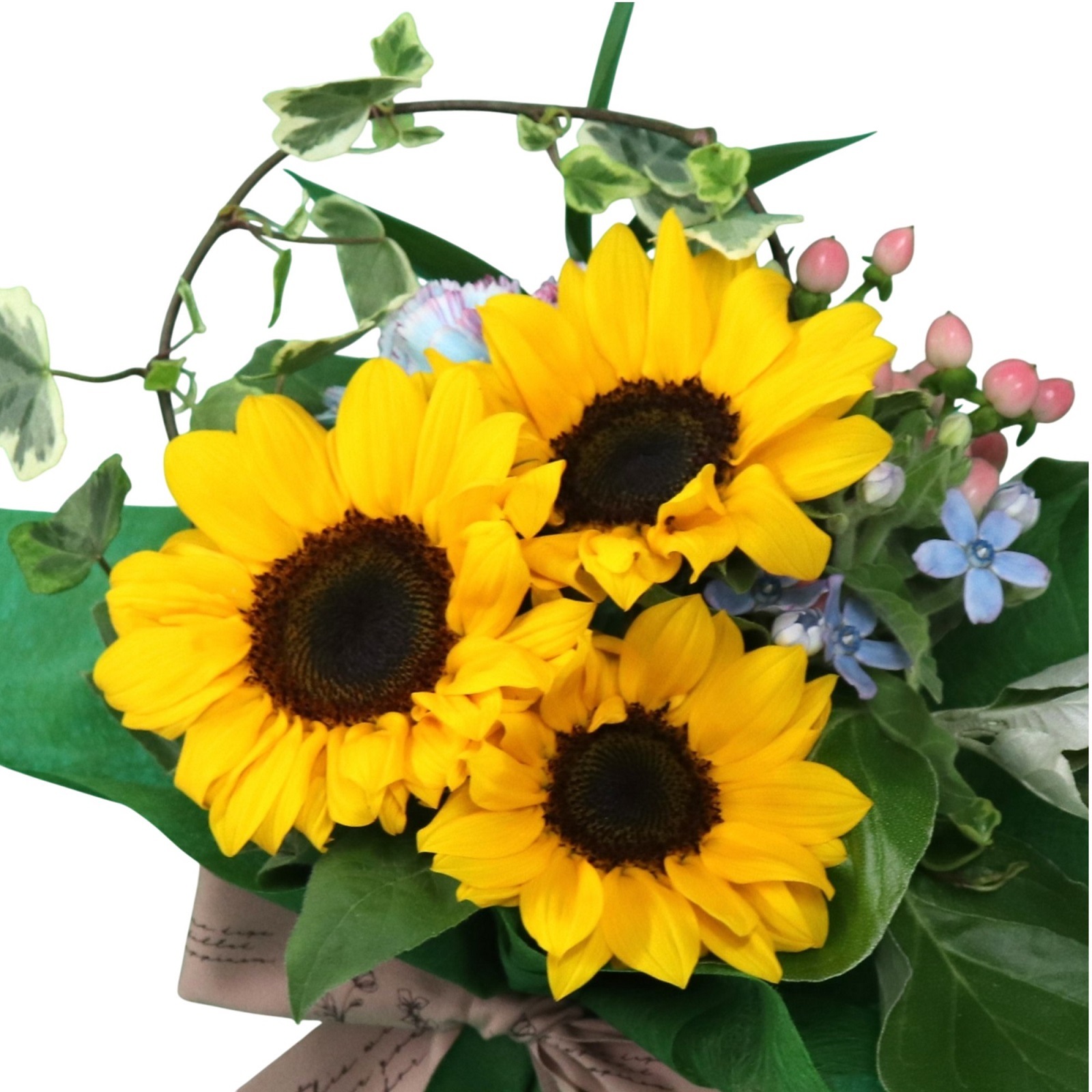 FF04 サンリッチ | まだまだ夏ギフト 2025 | 花・フラワーギフト