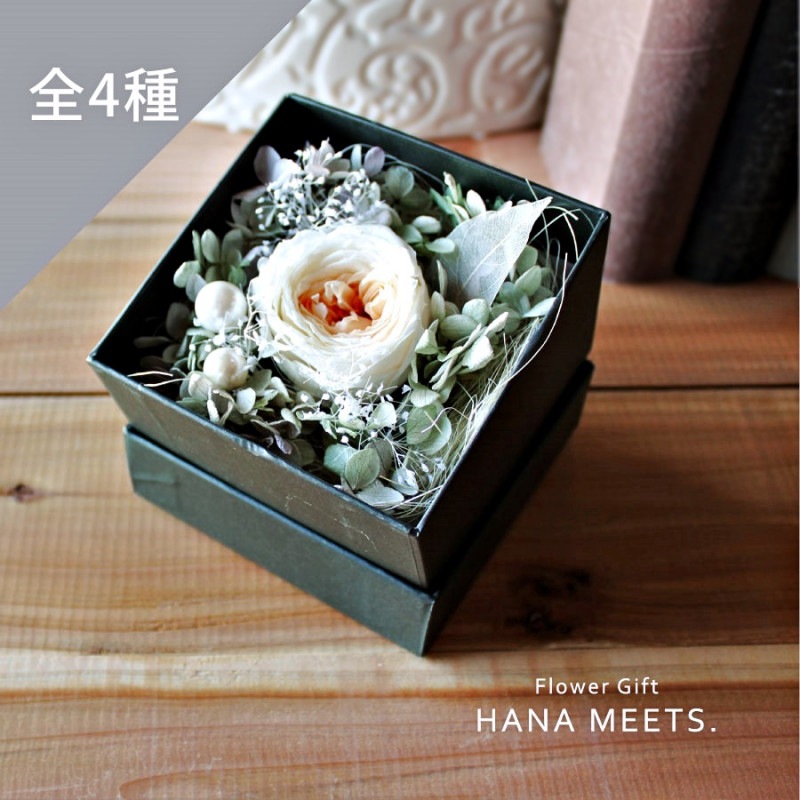 �ե��ܥå������졼��-Reve-