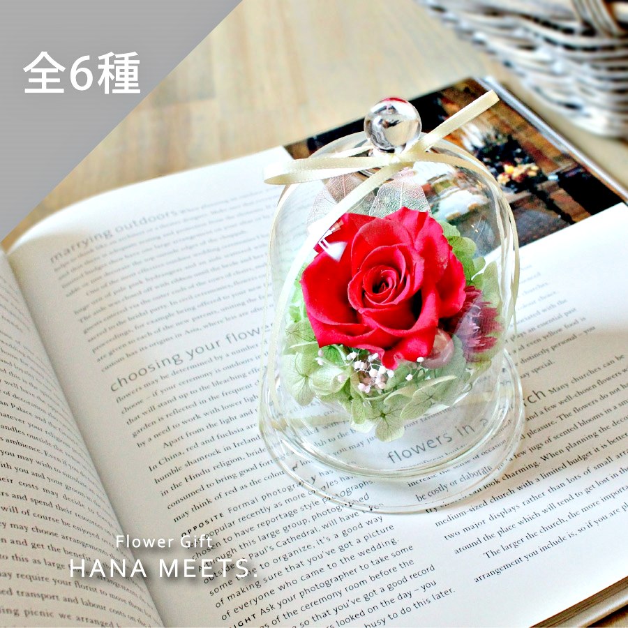 フラデコ プリザーブドフラワーフール (レッド) 新品 フラデコ プリザーブドフラワーフール (レッド) 雑貨