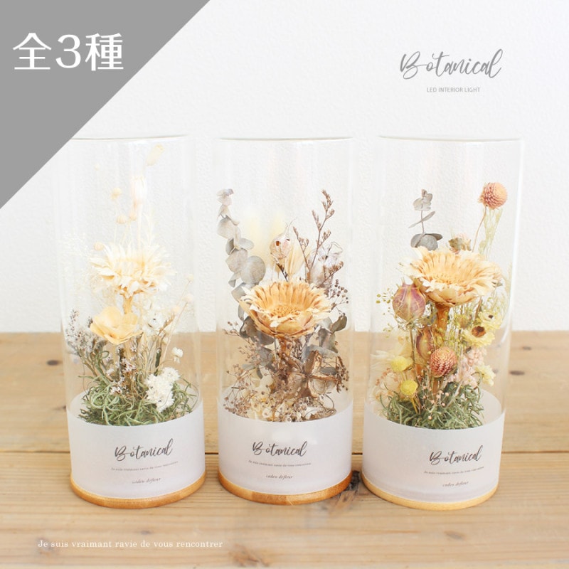 �ɥ饤�ܥȥ륢���