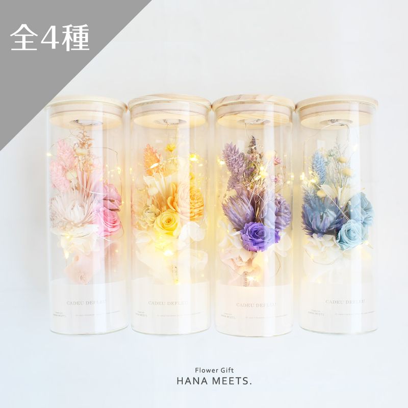 ��ߥʥ���LED�饤�ȥ��饹�ܥȥ�