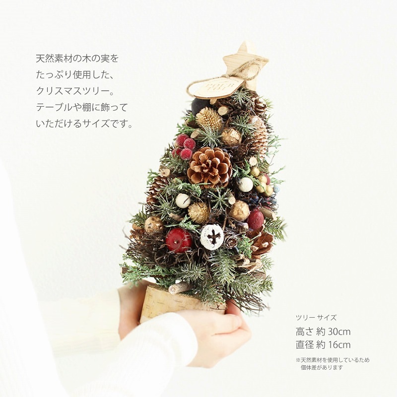 ꥹޥĥ꡼  ʥĥ꡼ ơ֥ĥ꡼