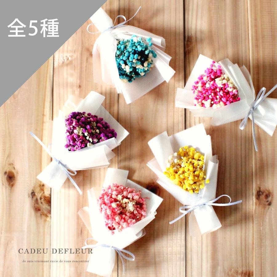 �ߥ˥ɥ饤�ե��֡��� ������