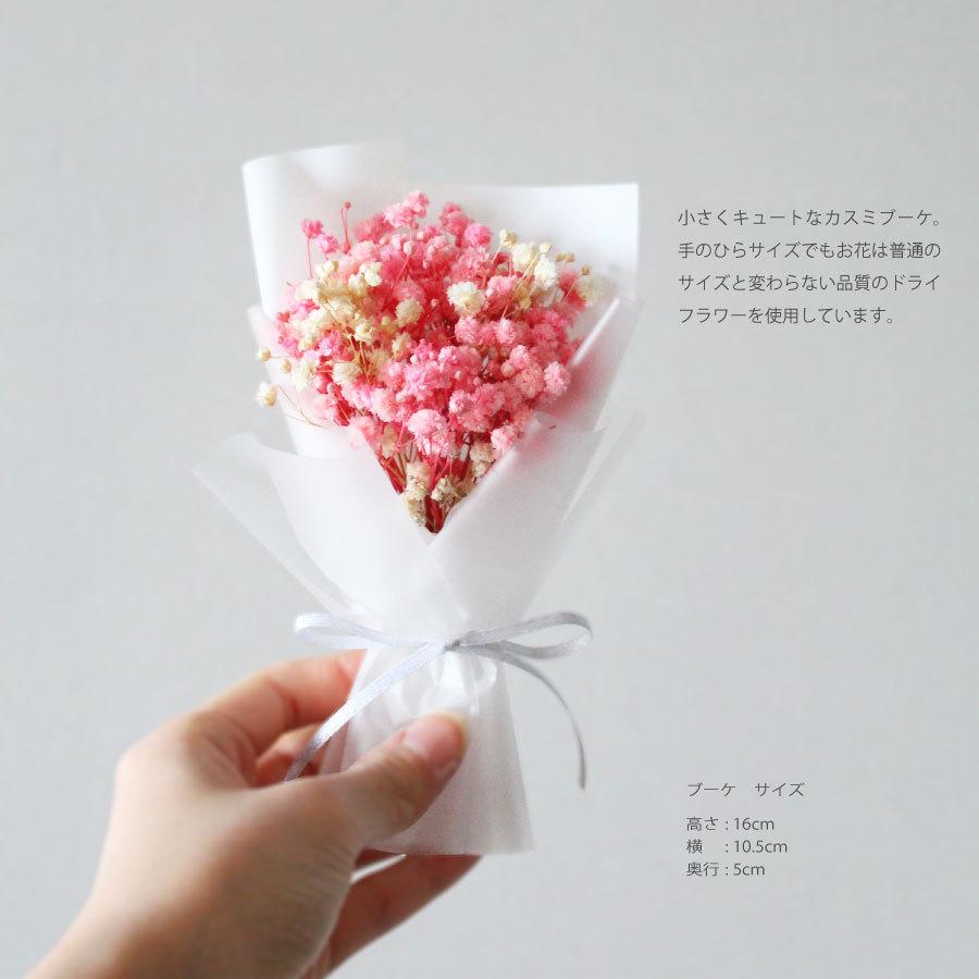 �ߥ˥ɥ饤�ե��֡��� ������