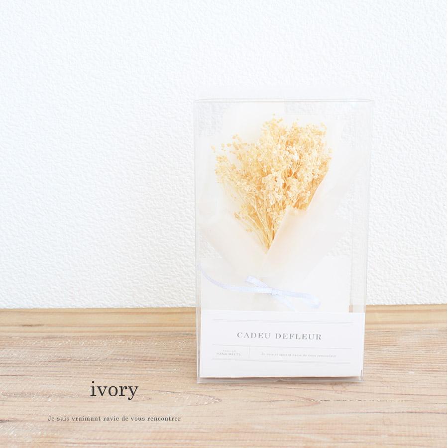 �ߥ˥ɥ饤�ե��֡��� ������