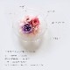 󥸥륬饹쥢ꡡ-Le ali-