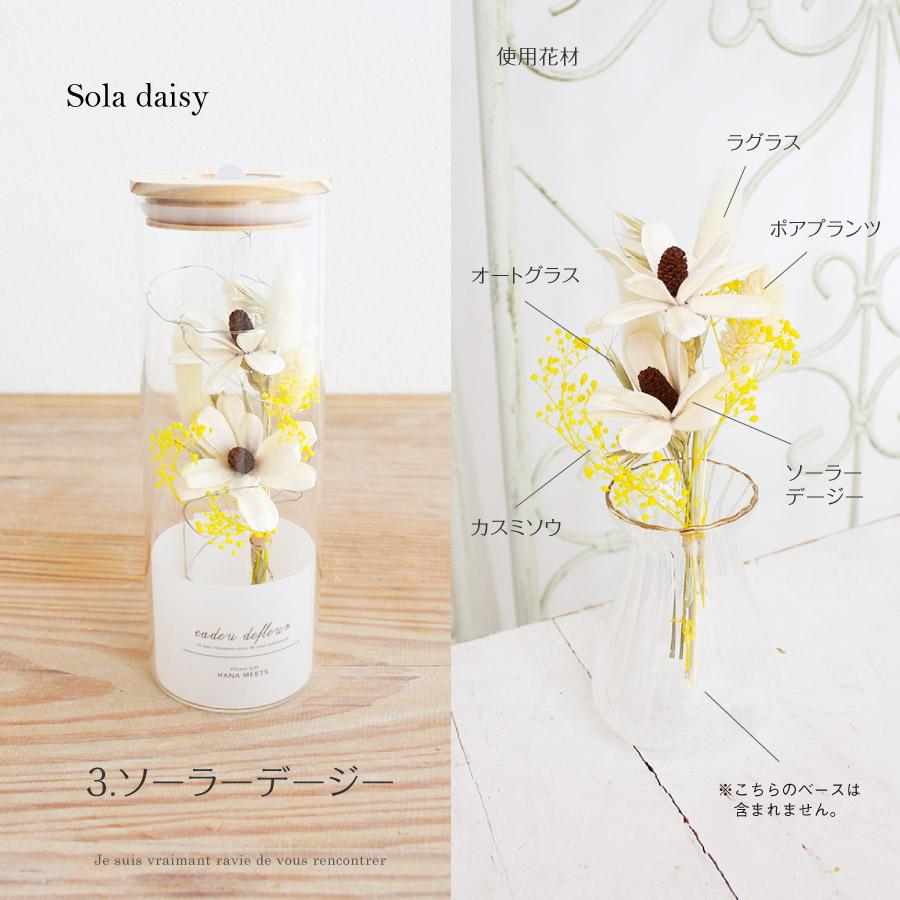 LEDドライフラワーボトル | 雑貨 | プリザーブドフラワーギフト通販