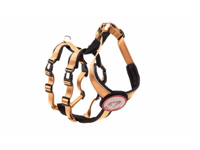 お取り寄せ】napani アウトドア&セーフティーハーネス