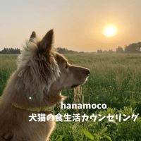 �ڻ�����ͽ��۸�ǭ�ο����襫���󥻥��