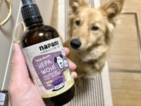 ڻͽhanamoco饤󥫥󥻥