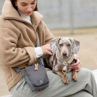 ��PALOPA��Greta�ʸ��Τ����⥷�������Хå��� 