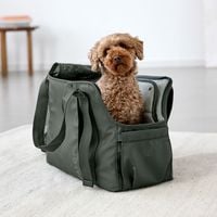 ��PALOPA��Carrier Bag�ʸ��Υ���꡼�Хå���