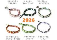 napani �����ȥɥ����顼2026