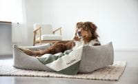 ��PALOPA��Dog Blanket Ida �ʥɥå��֥�󥱥åȡ�