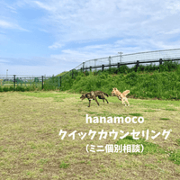 �ڻ�����ͽ��ۥ����å������󥻥�󥰡ʥߥ˸������̡�