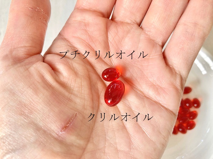 �ץ�����륪����