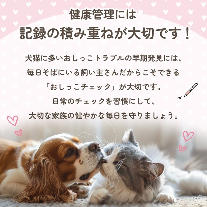 ��nyanpling���۸�ǭ�Ѥ����ä������å����åȡ�2��ʬ��