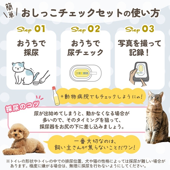��nyanpling���۸�ǭ�Ѥ����ä������å����åȡ�2��ʬ��