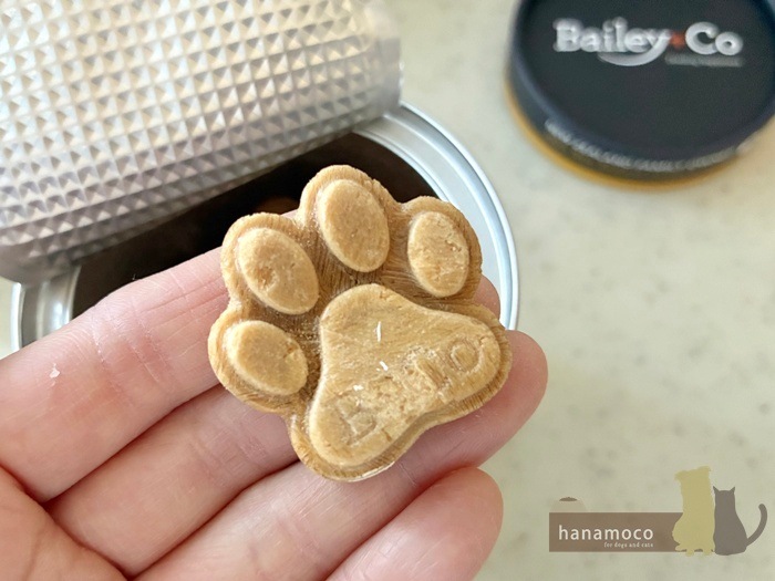 ��Bailey��Co�ۥե꡼���ɥ饤 �ӡ��եܡ���֥��� �ץ��Х����ƥ�����
