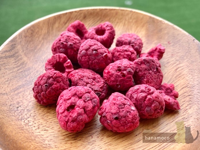 フリーズドライ全粒ラズベリー | DOG | hanamoco