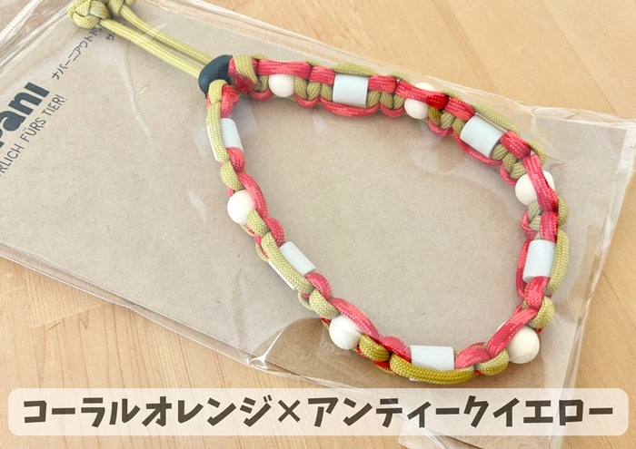 napani �����ȥɥ����顼2026