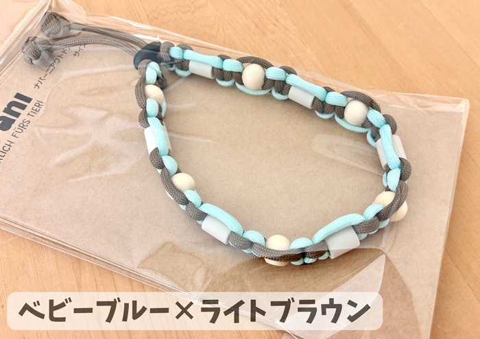 napani �����ȥɥ����顼2026