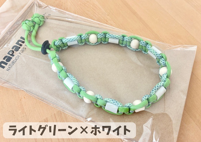 napani �����ȥɥ����顼2026