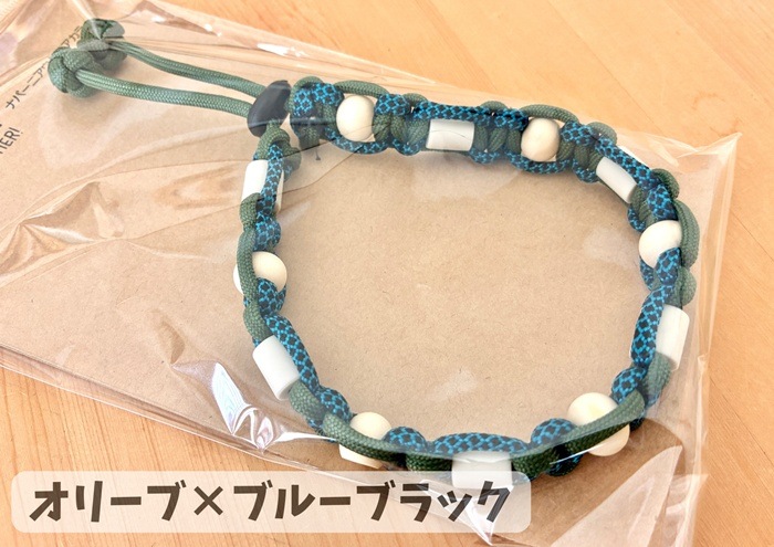 napani �����ȥɥ����顼2026