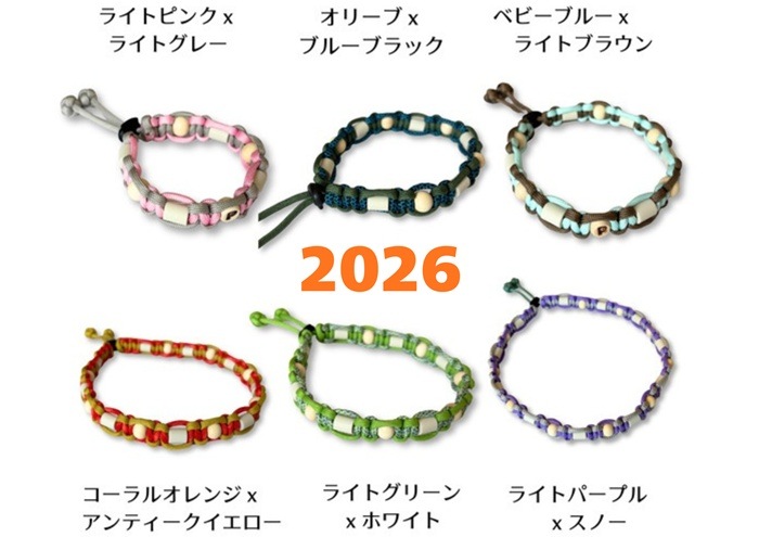 napani �����ȥɥ����顼2026