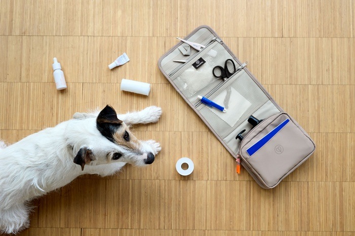 ��PALOPA�� First Aid Pouch�ʥե������ȥ����ɥݡ�����