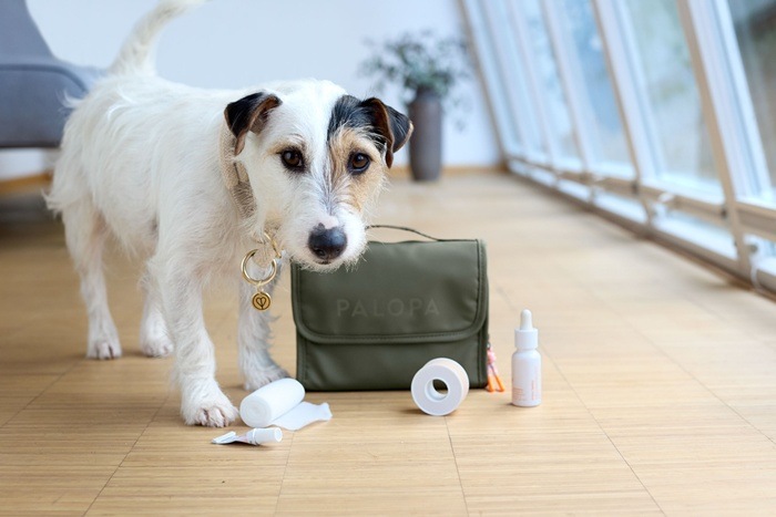 ��PALOPA�� First Aid Pouch�ʥե������ȥ����ɥݡ�����