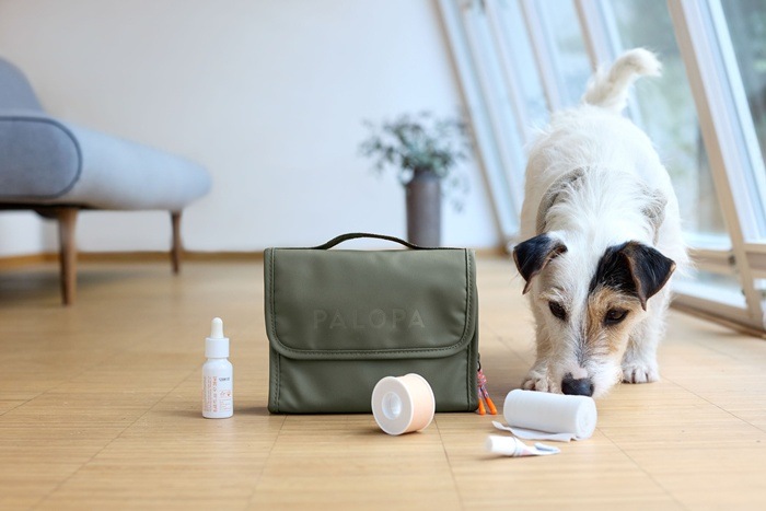 ��PALOPA�� First Aid Pouch�ʥե������ȥ����ɥݡ�����