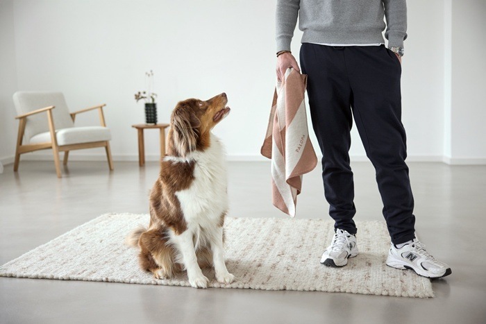 ��PALOPA��Dog Blanket Ida �ʥɥå��֥�󥱥åȡ�