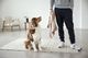 ��PALOPA��Dog Blanket Ida �ʥɥå��֥�󥱥åȡ�